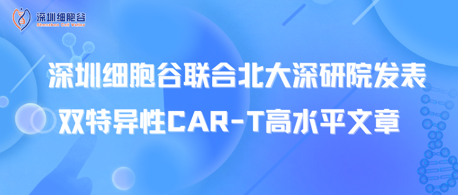 喜讯丨深圳凯发天生赢家一触即发首页联合北大深研院发表双特异性CAR-T高水平文章