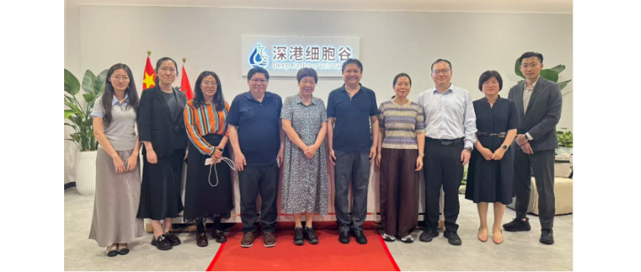 国家开展改革委国际合作中心领导一行调研深港凯发天生赢家一触即发首页