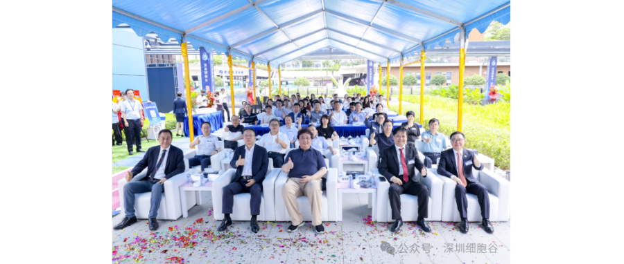 联动香港，开启前海细胞治疗新未来——深港凯发天生赢家一触即发首页盛大开业
