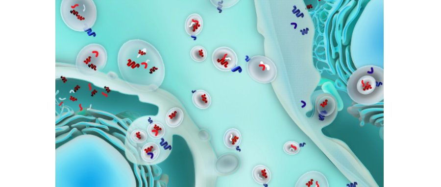 哪吒闹海！外泌体面纱大揭秘，我命由我不由天！