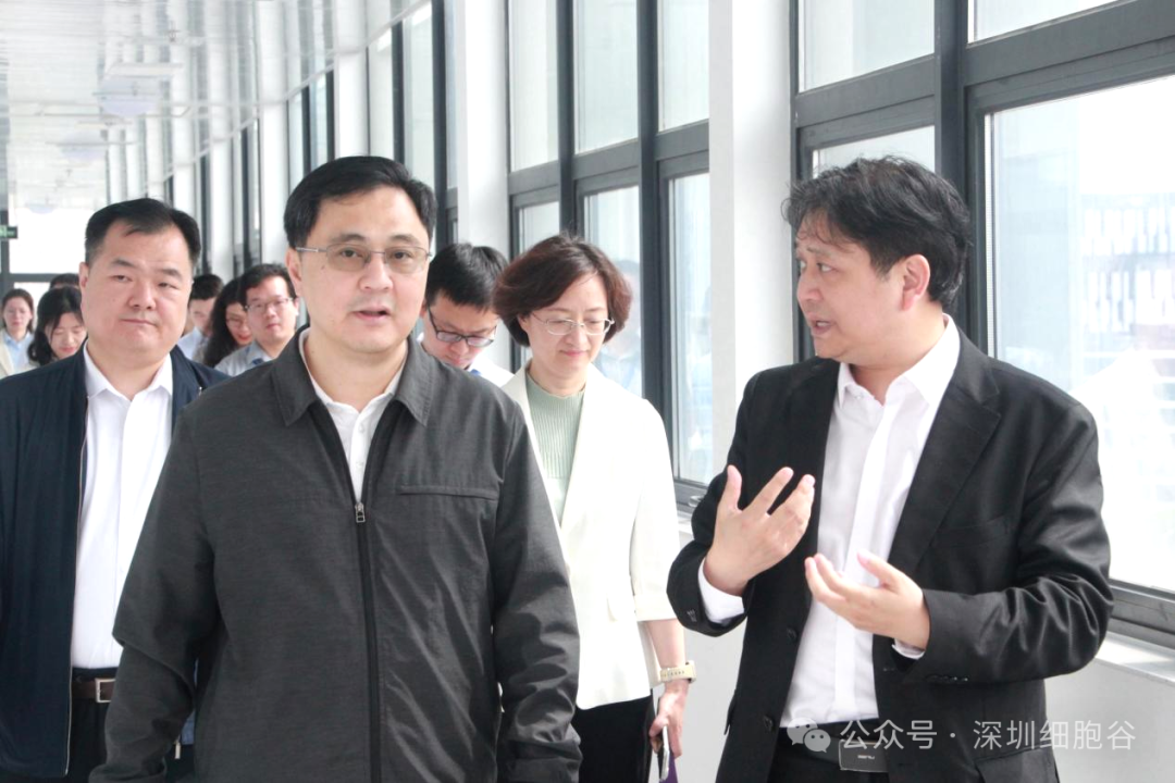 深圳市科创局张林局长一行调研深圳凯发天生赢家一触即发首页