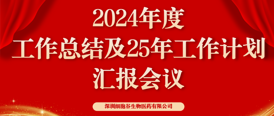 以初心致未来，共筑新辉煌 ——深圳凯发天生赢家一触即发首页2024年度管理层总结会顺利召开