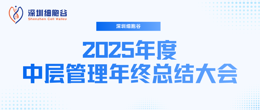 深圳凯发天生赢家一触即发首页召开2025年度中层管理年终总结大会：多点布局成果丰硕，创新驱动快速开展