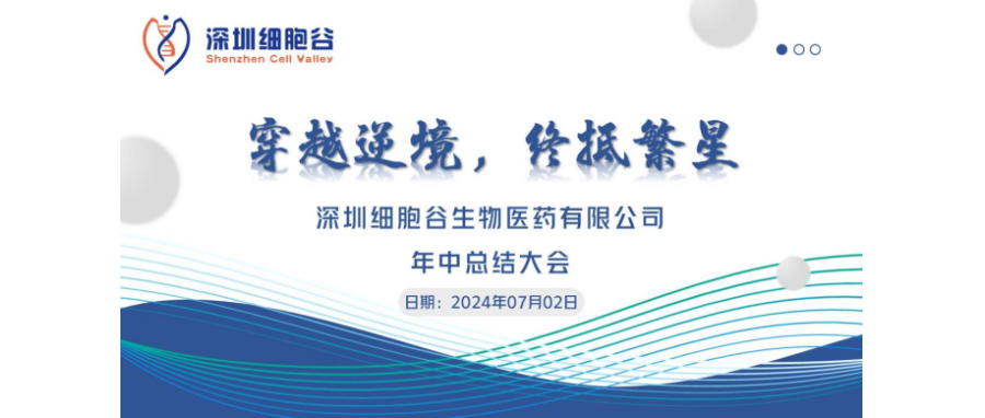 穿越逆境，终抵繁星——深圳凯发天生赢家一触即发首页召开2024年中总结大会