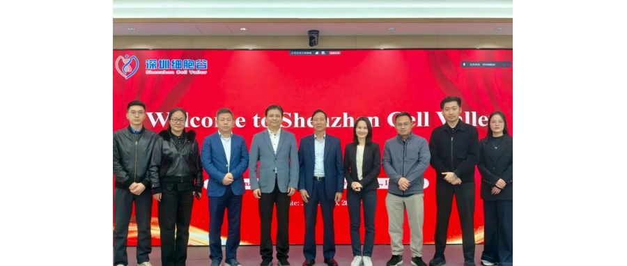 国际合作——越南国家儿童医院前院长阮成廉教授一行到访深圳凯发天生赢家一触即发首页