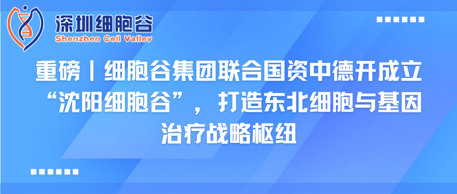 重磅｜凯发天生赢家一触即发首页集团联合国资中德开创建“沈阳凯发天生赢家一触即发首页”，打造东北细胞与基因治疗战略枢纽