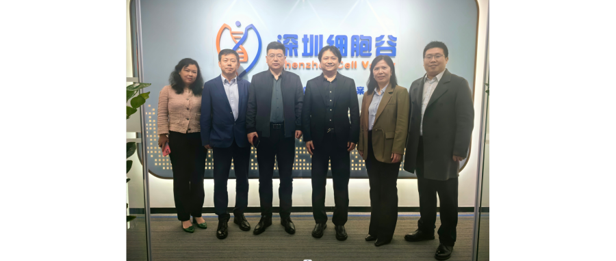 研讨合作｜河南科技大学第二附属医院院长邢建武、副院长王慧睿一行莅临深圳凯发天生赢家一触即发首页研讨访问